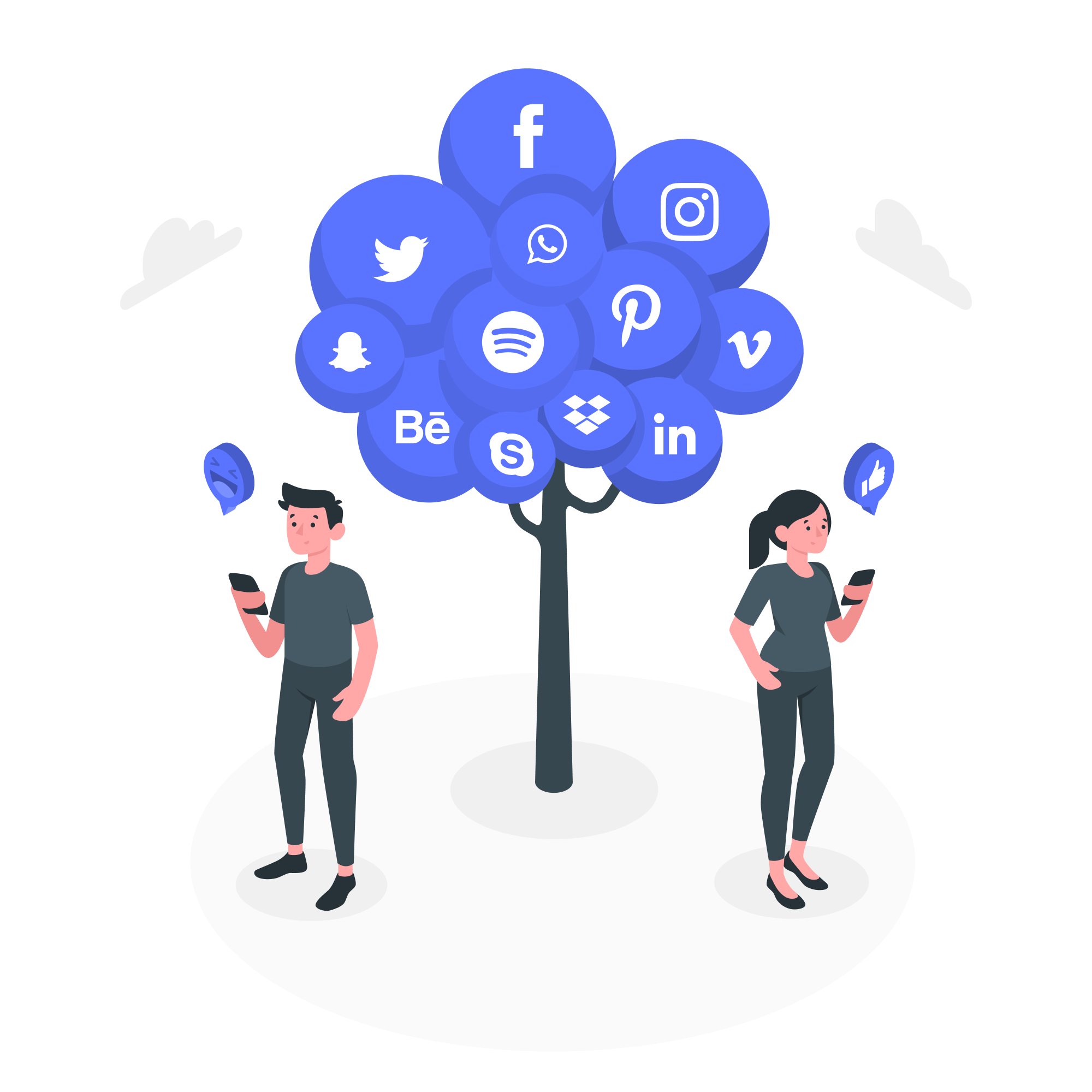 Social Media Marketing Platform
